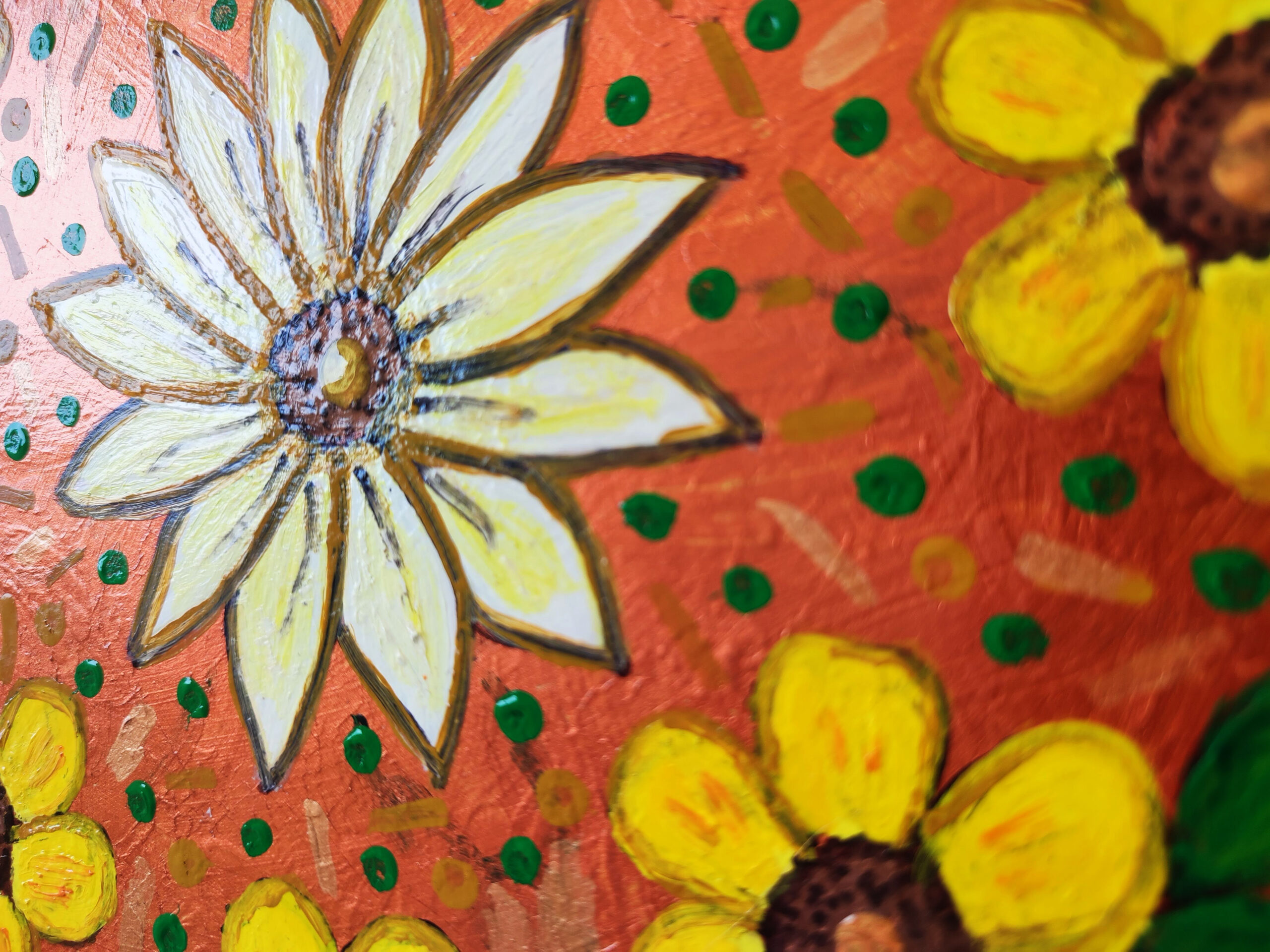 IMG_20230611_125909 IMG_20230611_125909