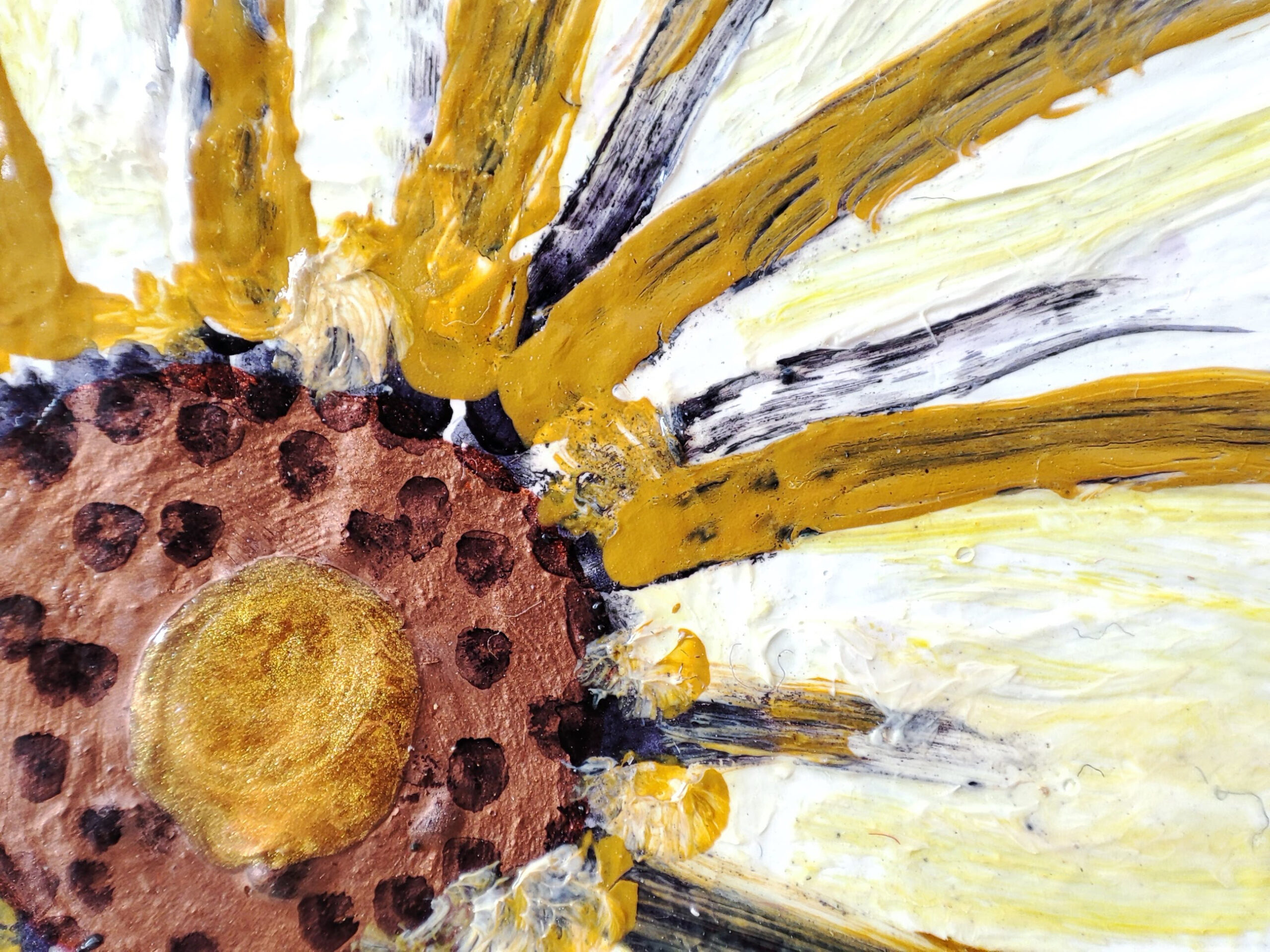 IMG_20230611_130012 IMG_20230611_130012