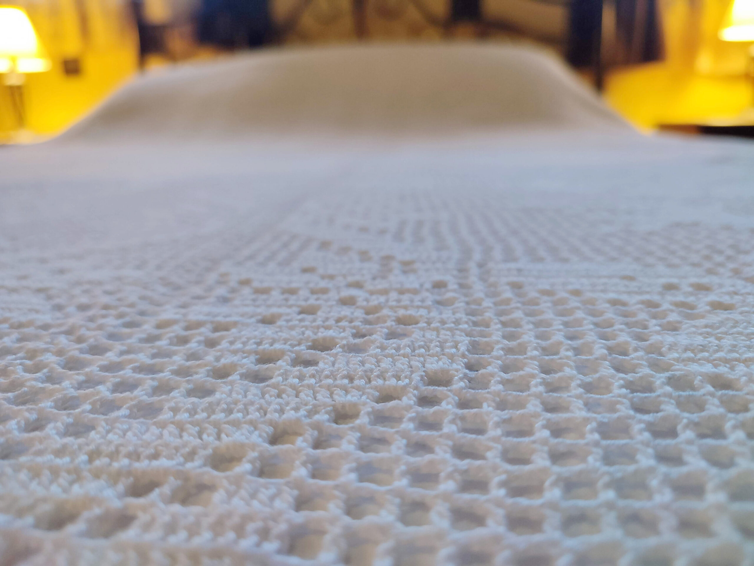 IMG_20221222_095149 IMG_20221222_095149