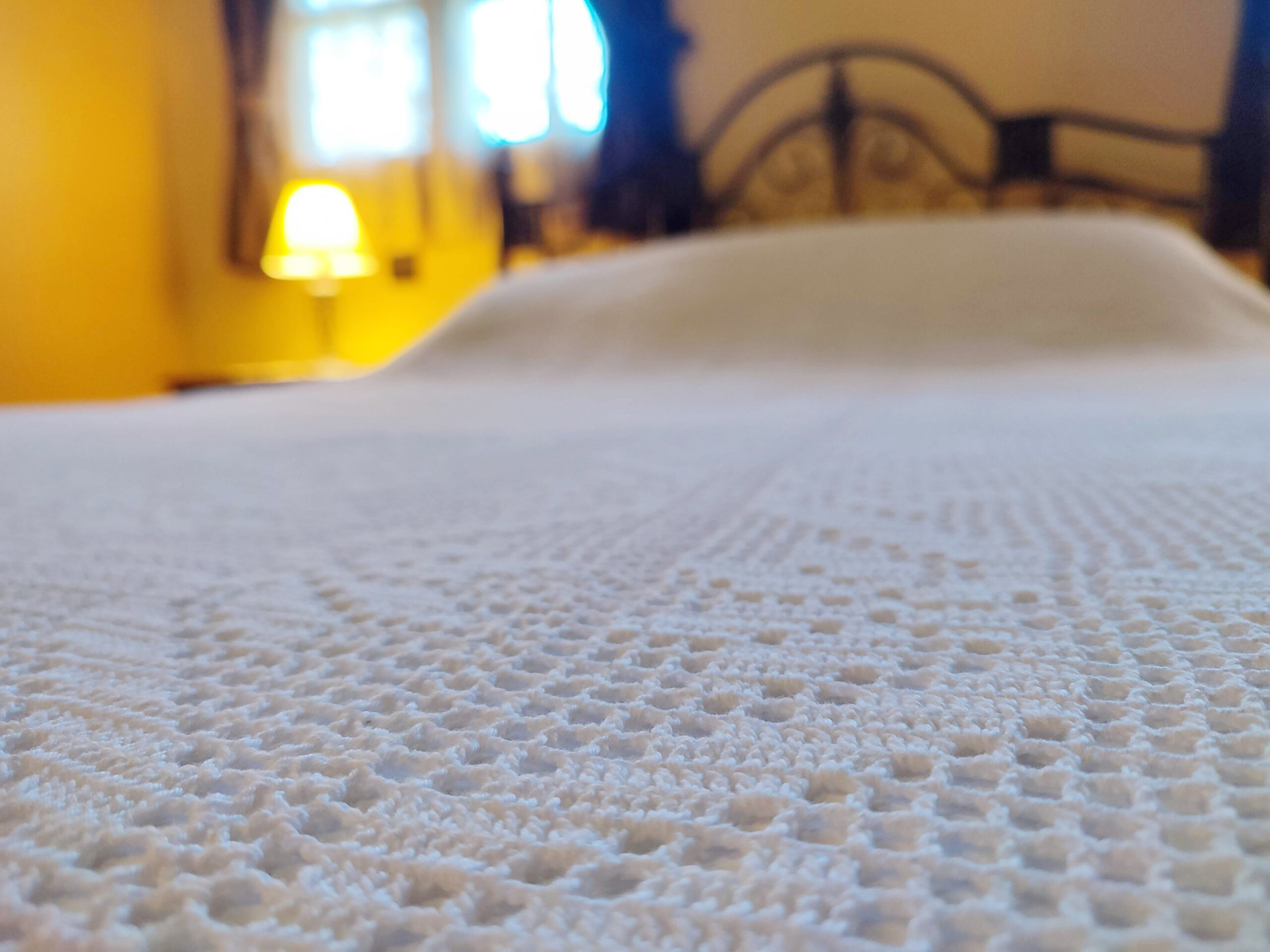 IMG_20221222_095159 IMG_20221222_095159