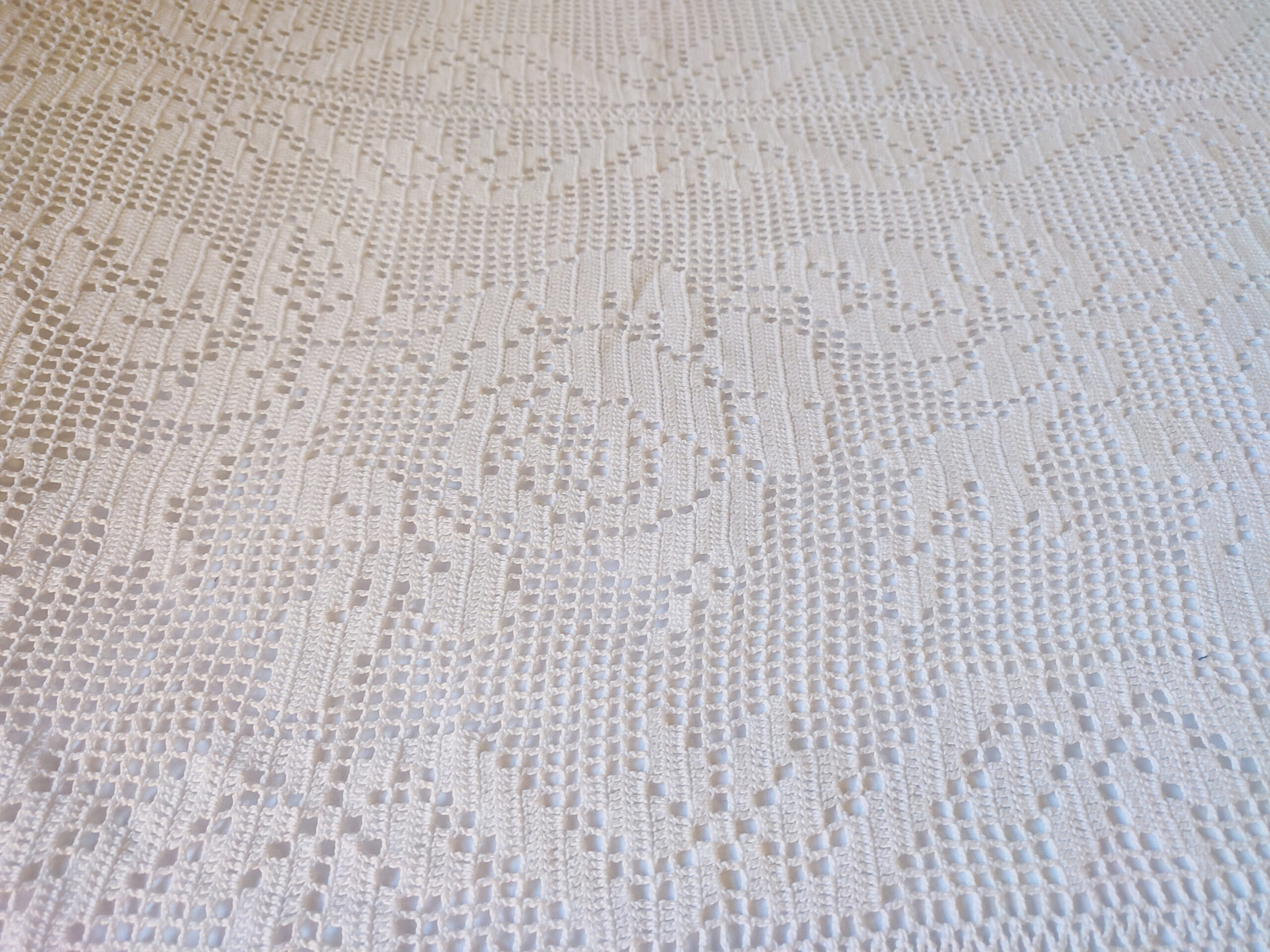 IMG_20221222_095237 IMG_20221222_095237