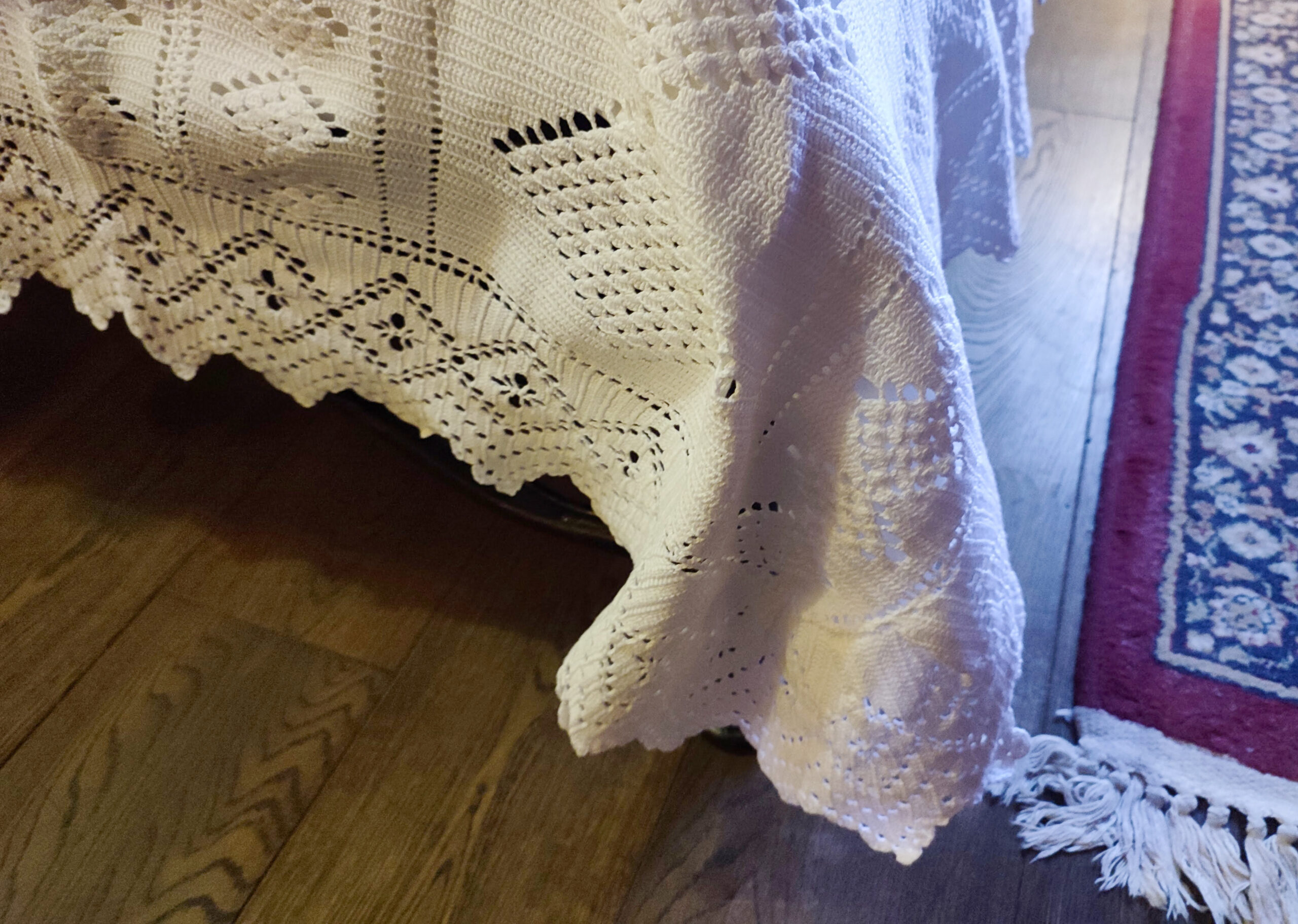 IMG_20221222_100357 IMG_20221222_100357