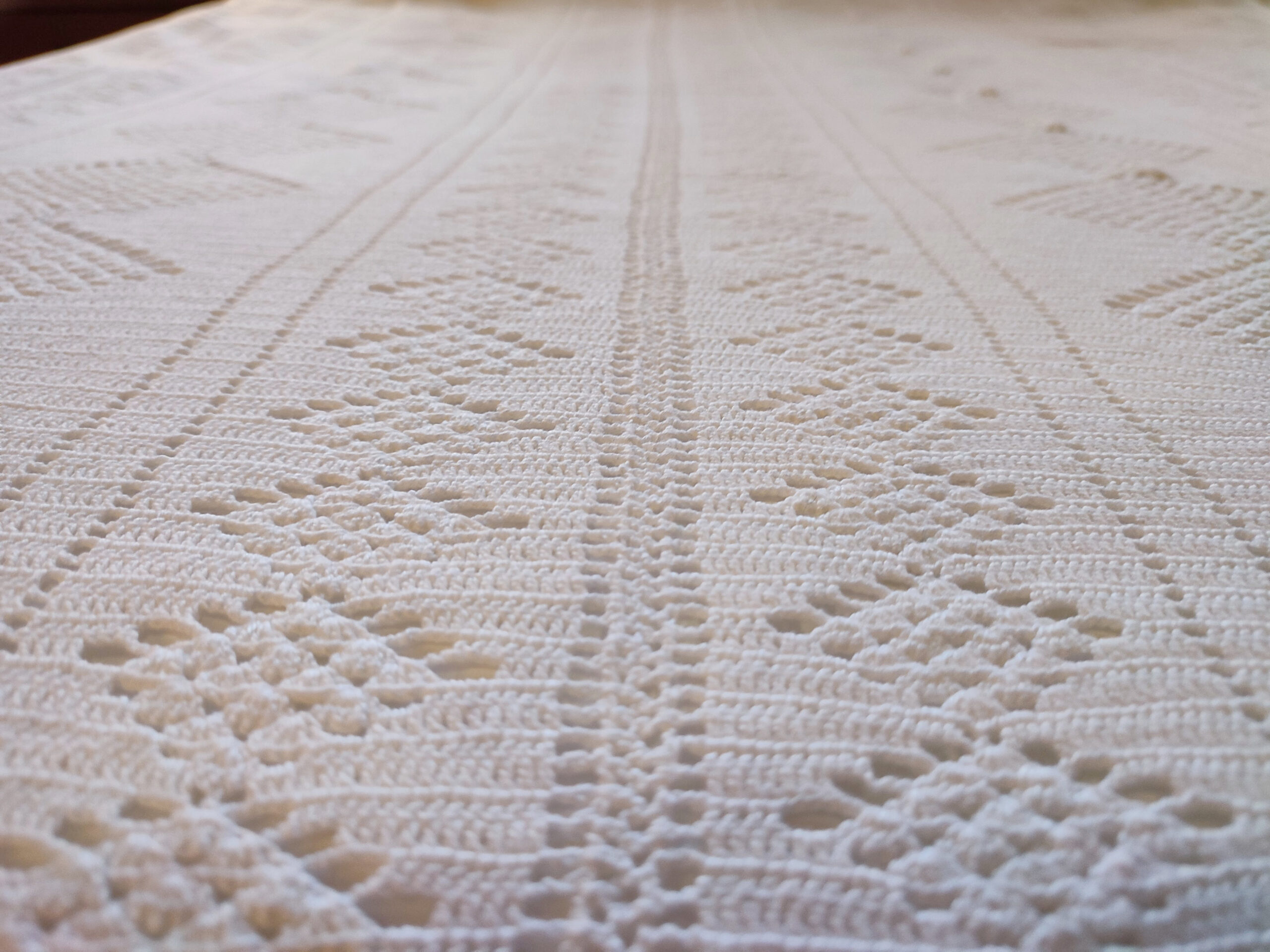 IMG_20221222_100438 IMG_20221222_100438