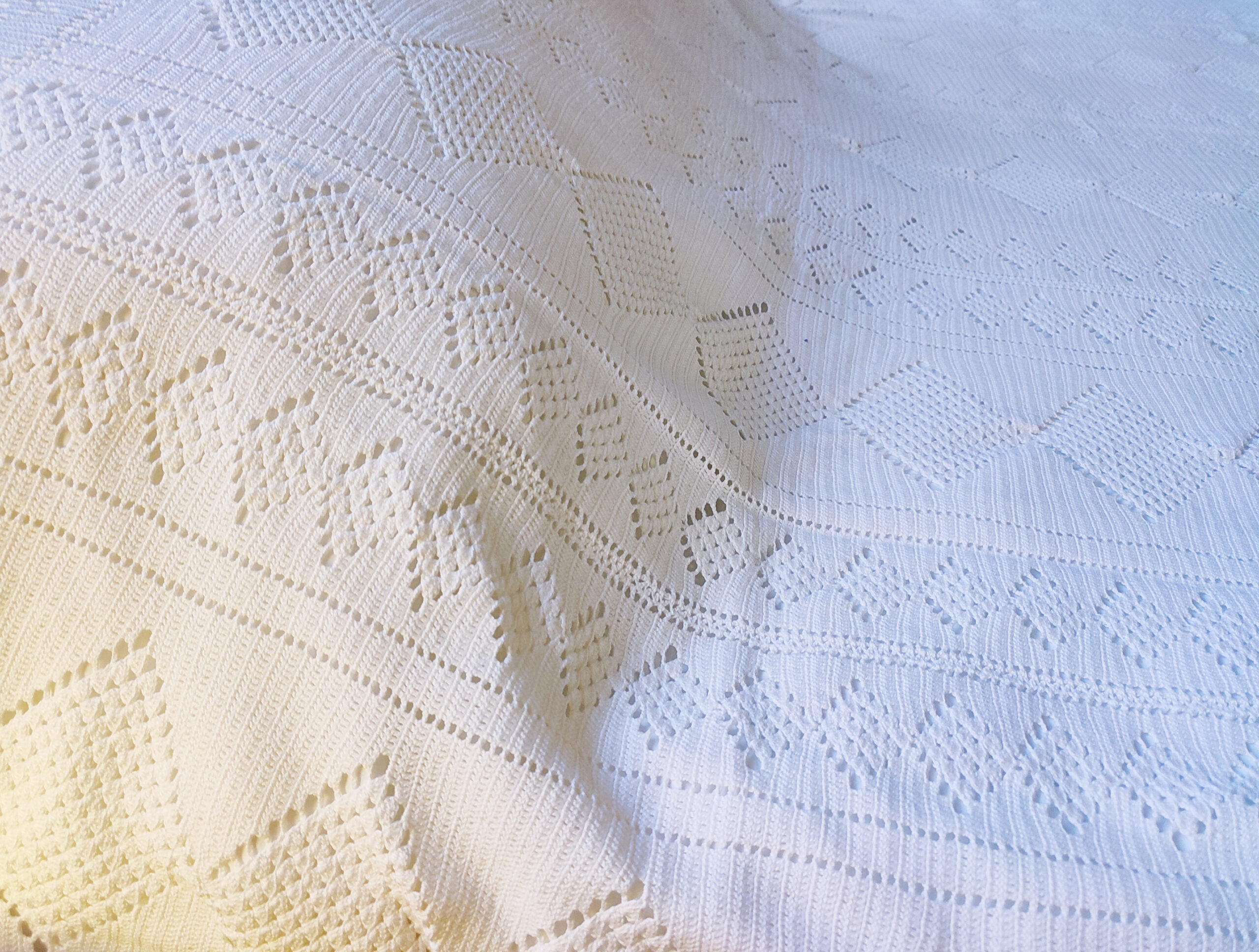 IMG_20221222_100447 IMG_20221222_100447