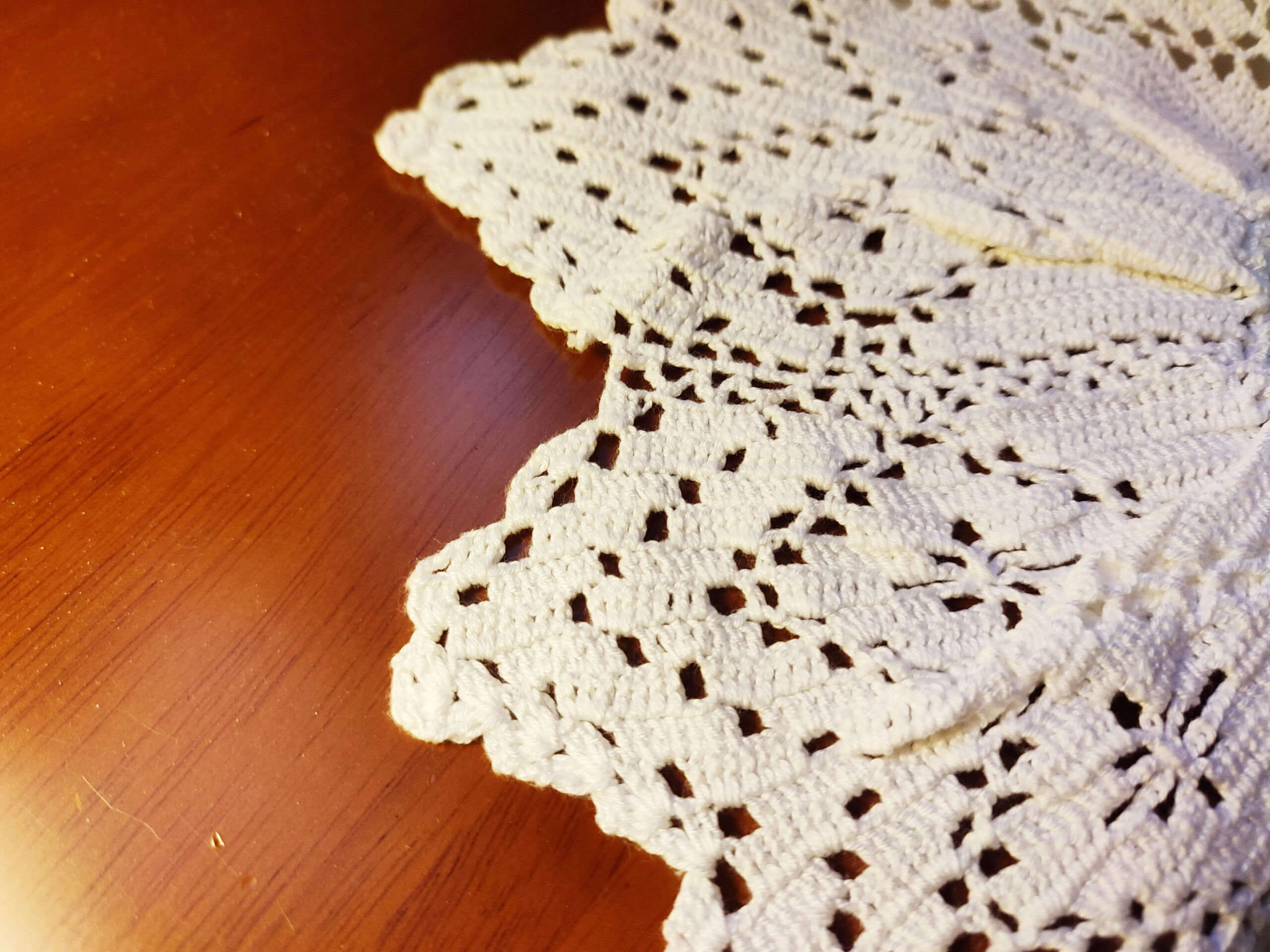 IMG_20221222_100515 IMG_20221222_100515