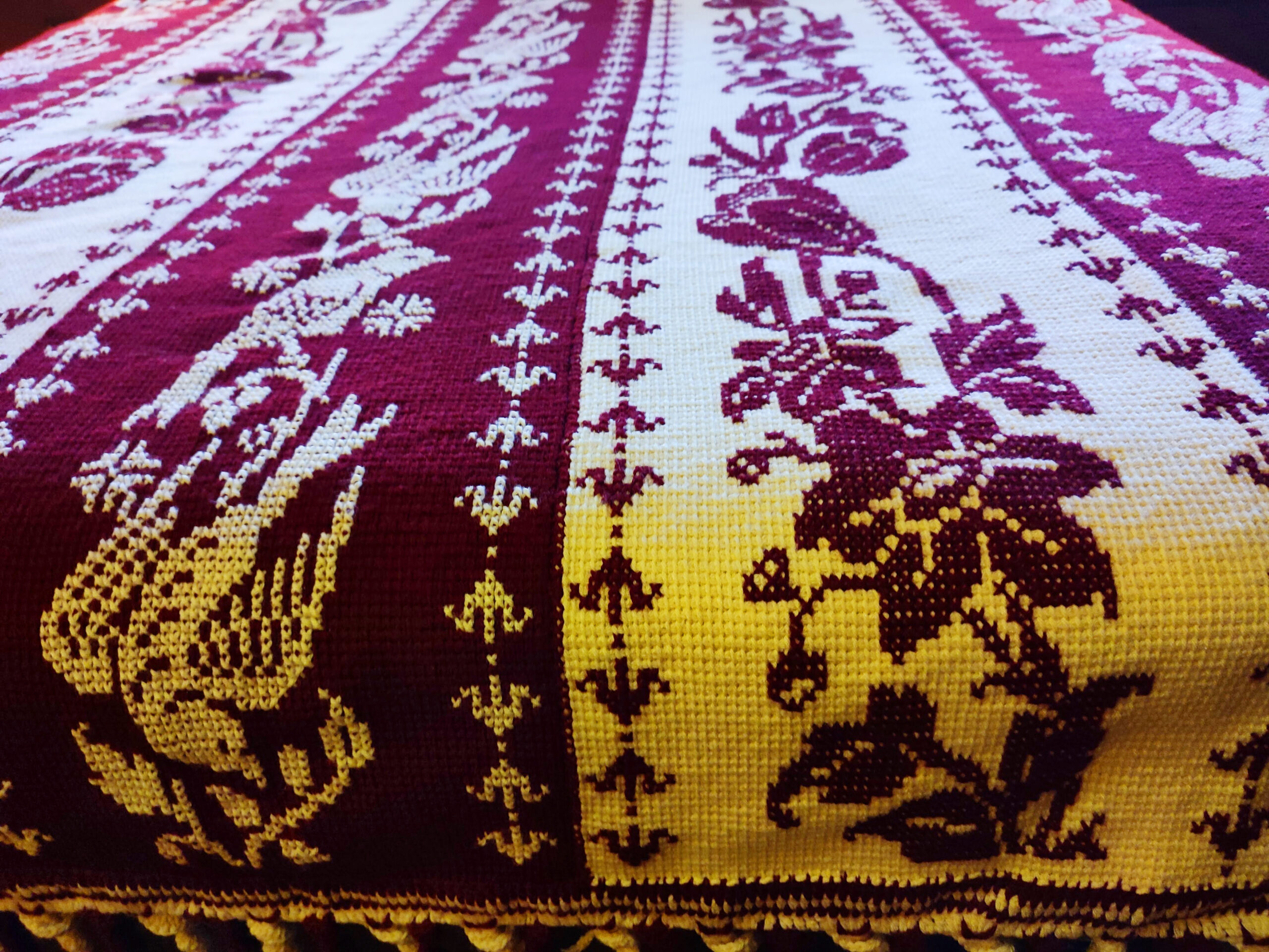 IMG_20221222_101118 IMG_20221222_101118