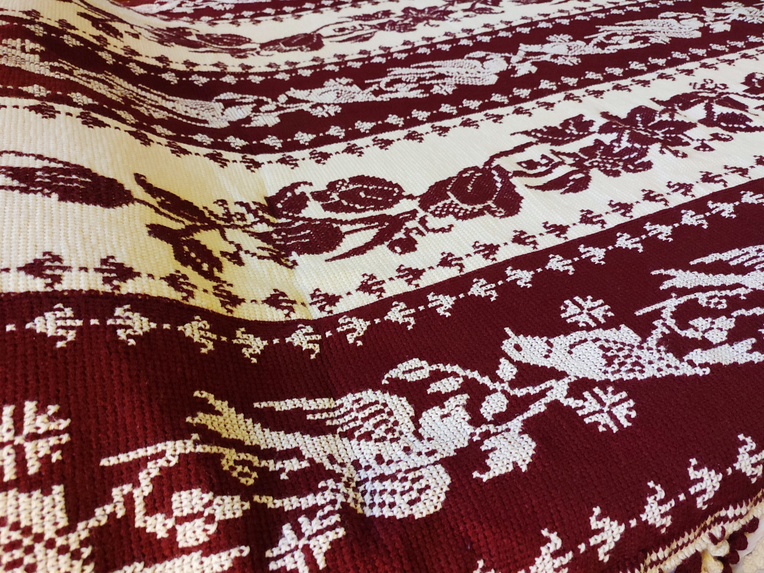 IMG_20221222_101215 IMG_20221222_101215