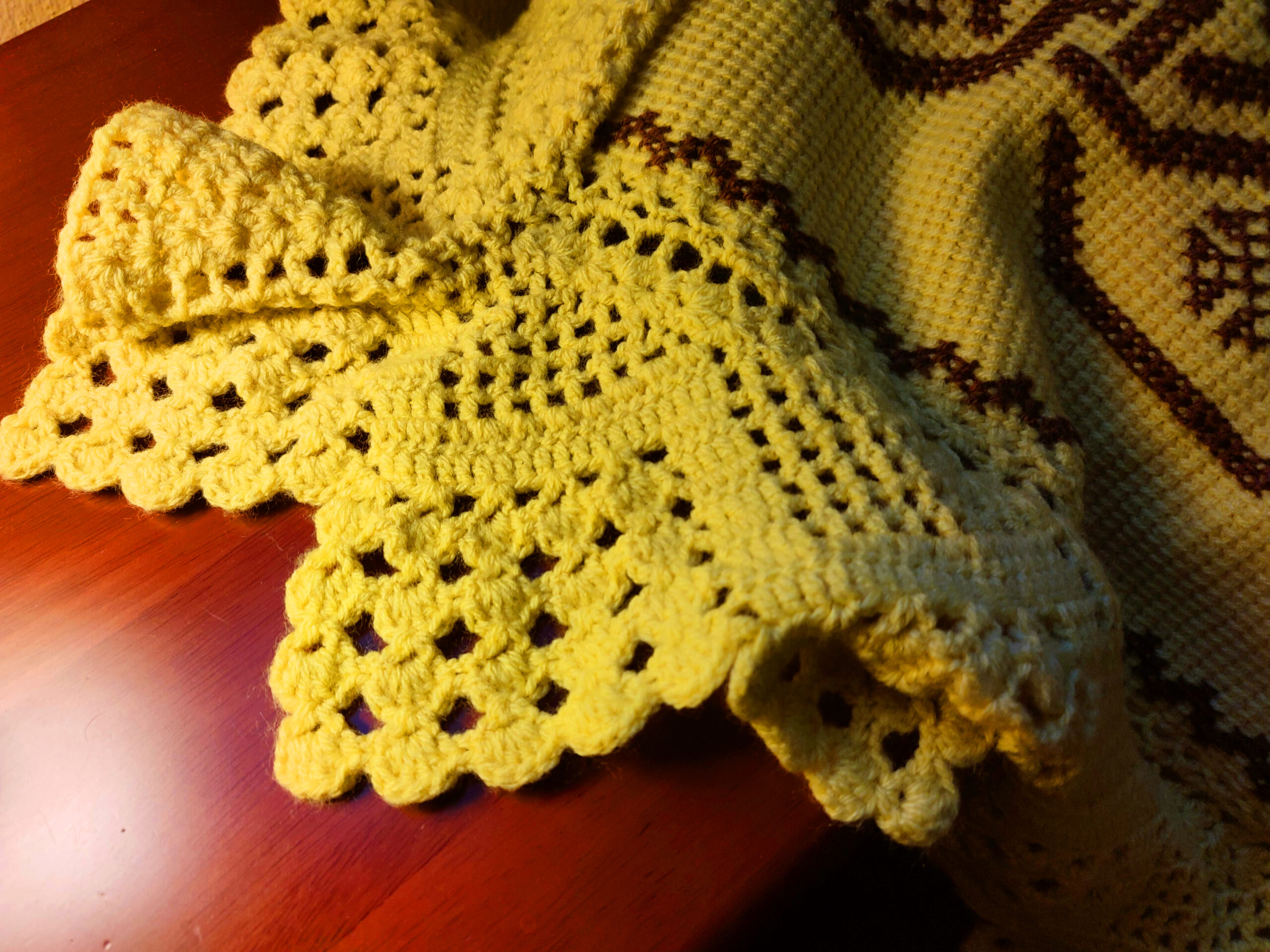 IMG_20221222_102658 IMG_20221222_102658