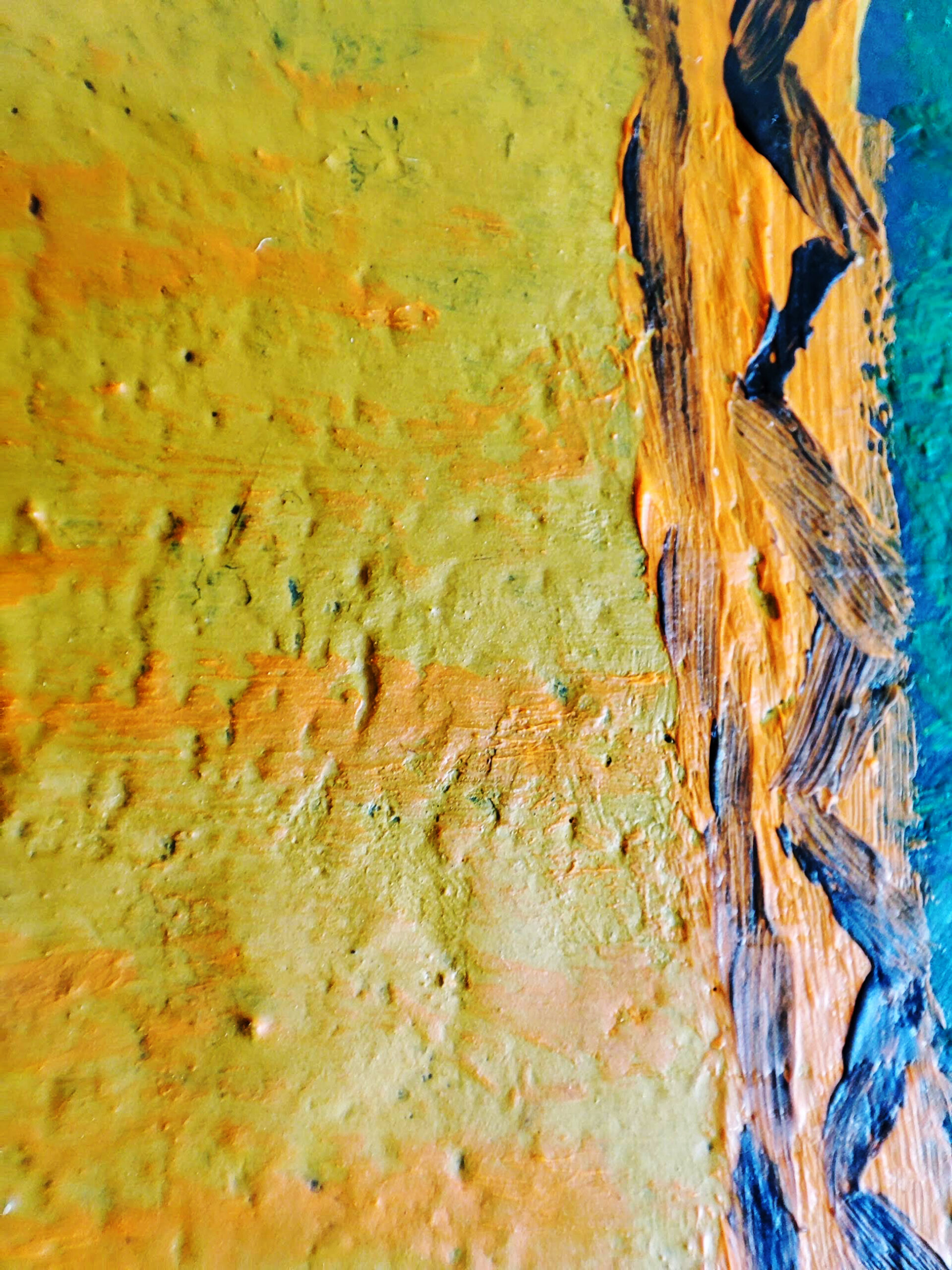 IMG_20230524_141022 IMG_20230524_141022