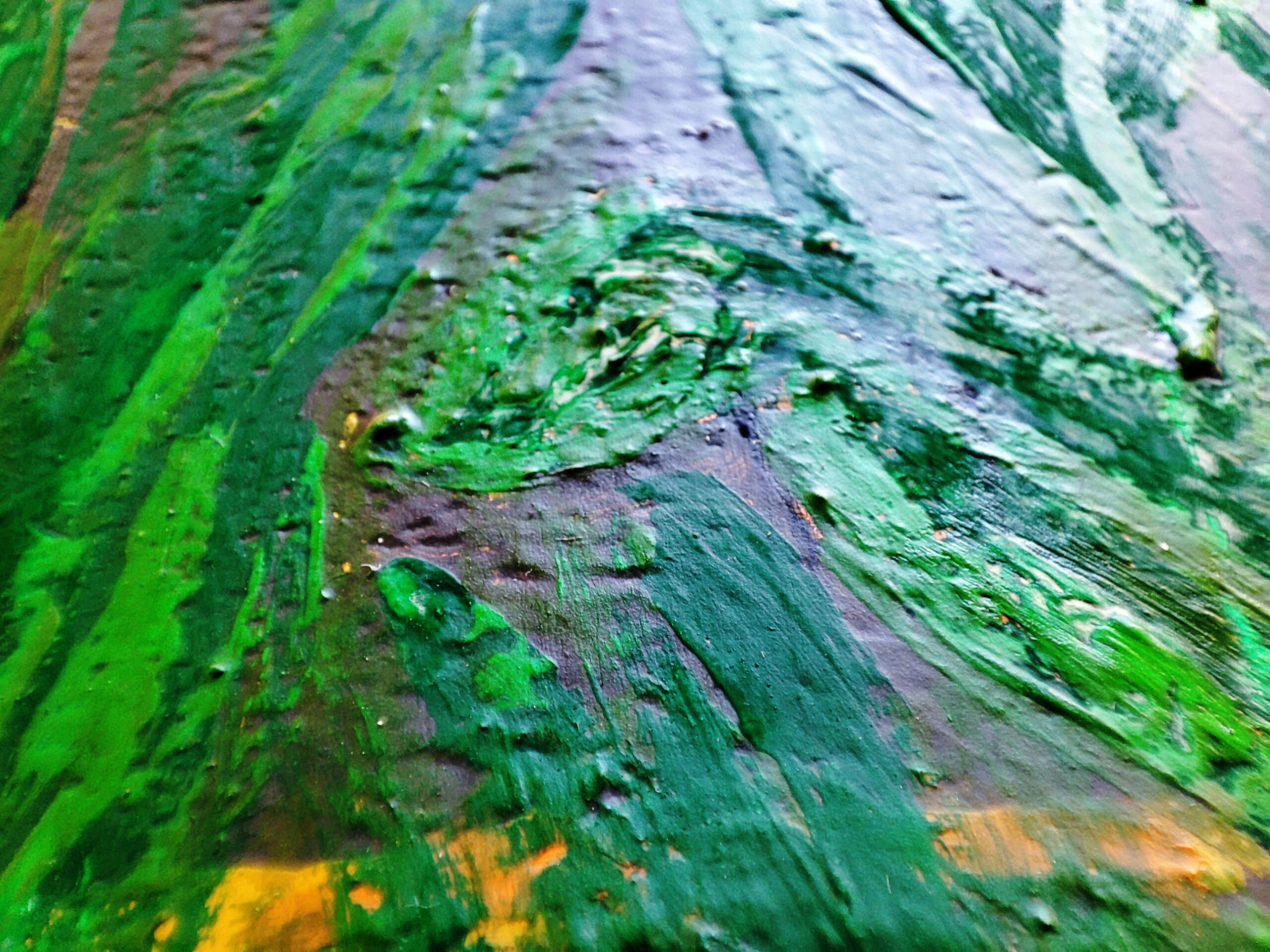 IMG_20230524_141033 IMG_20230524_141033