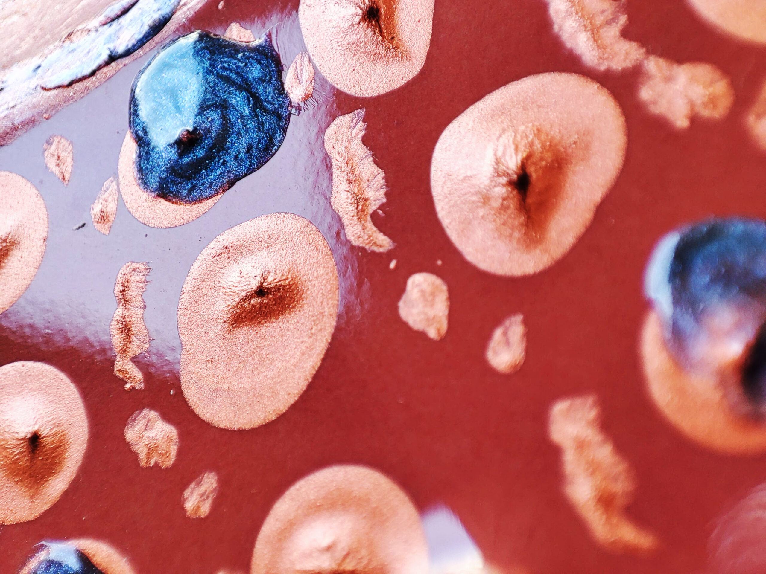 IMG_20230607_170207 IMG_20230607_170207