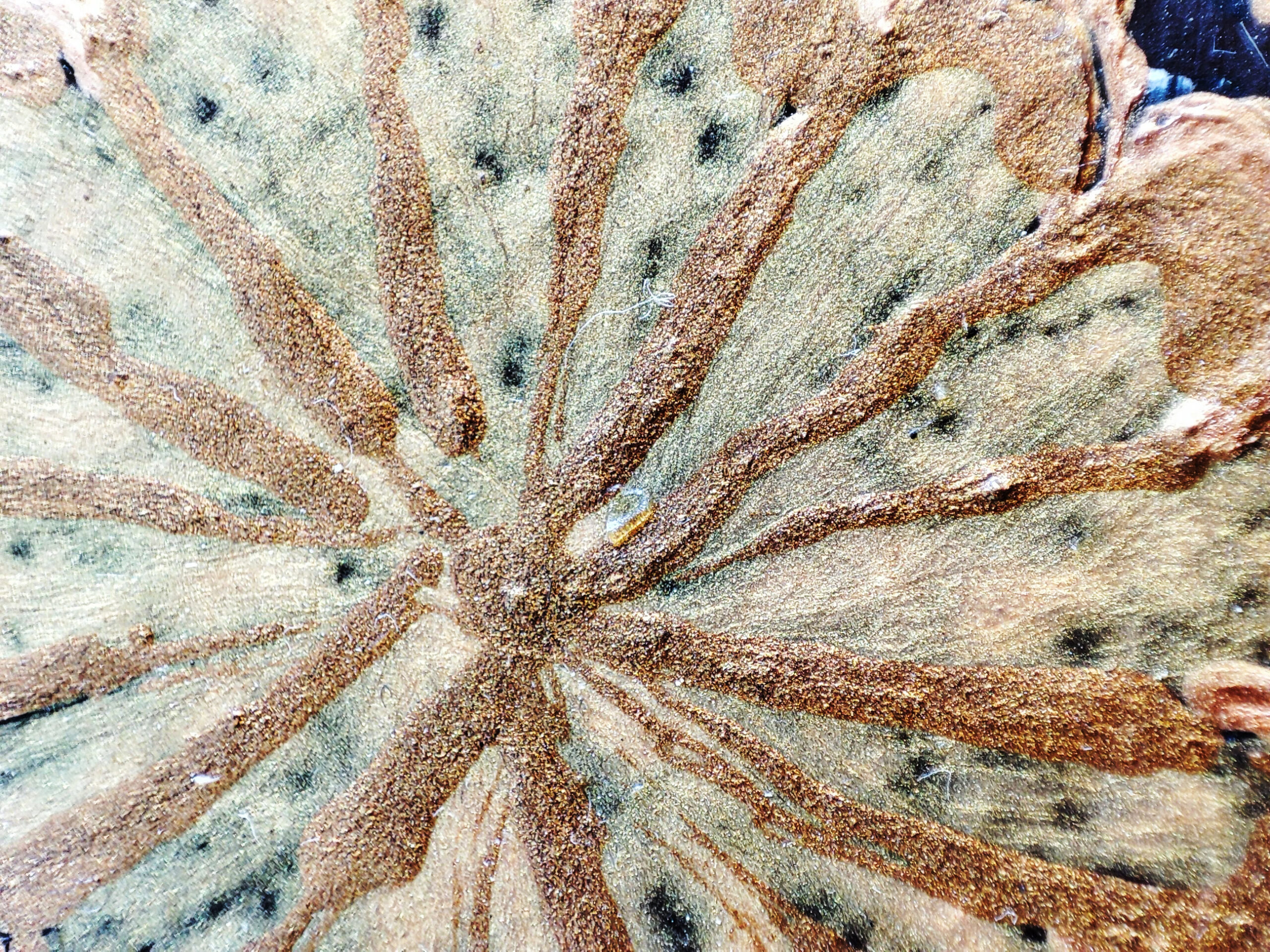 IMG_20230829_124158 IMG_20230829_124158