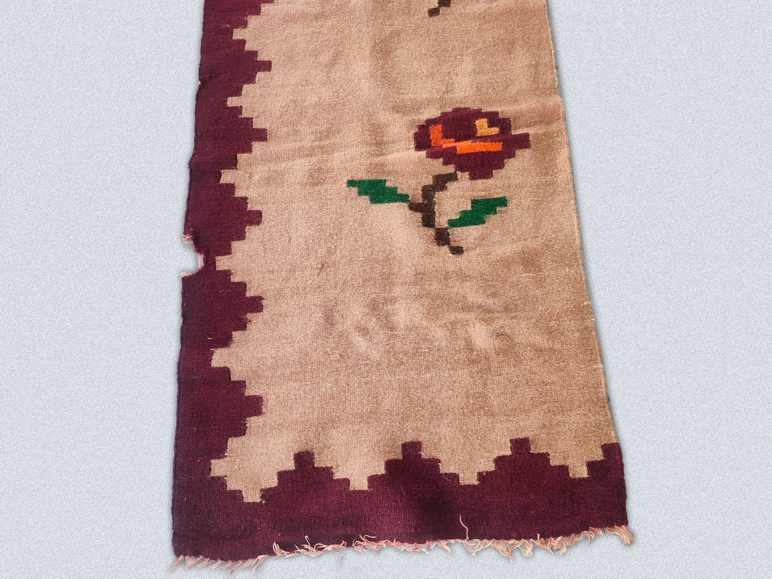 IMG_20231020_175627 IMG_20231020_175627